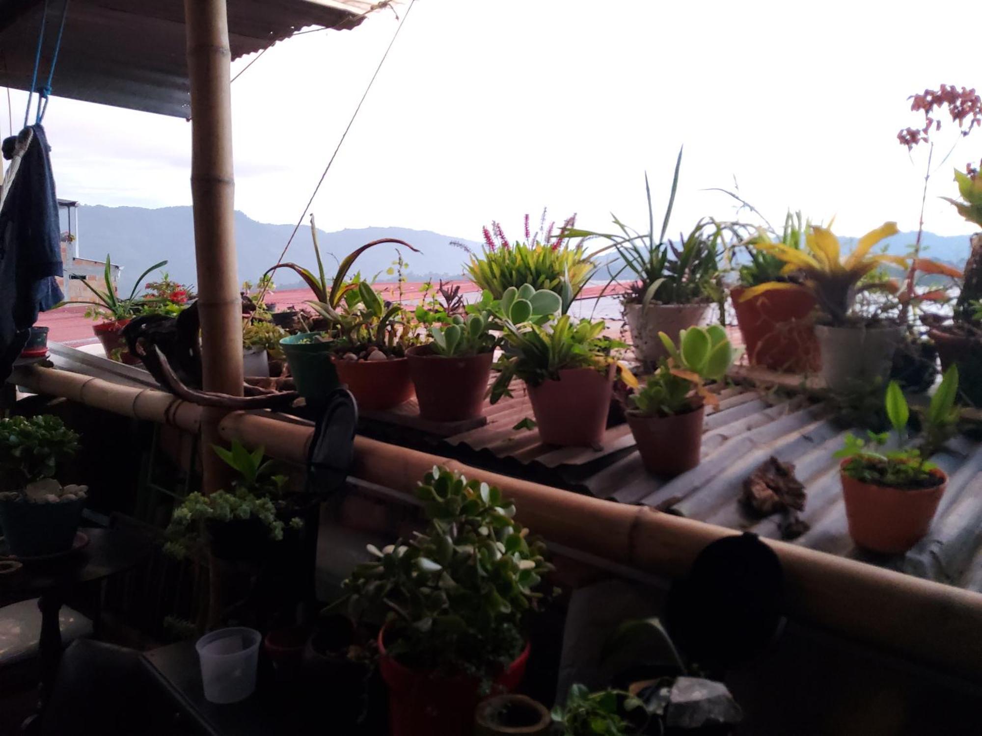 Hostal Musica Y Arte San Agustín 외부 사진