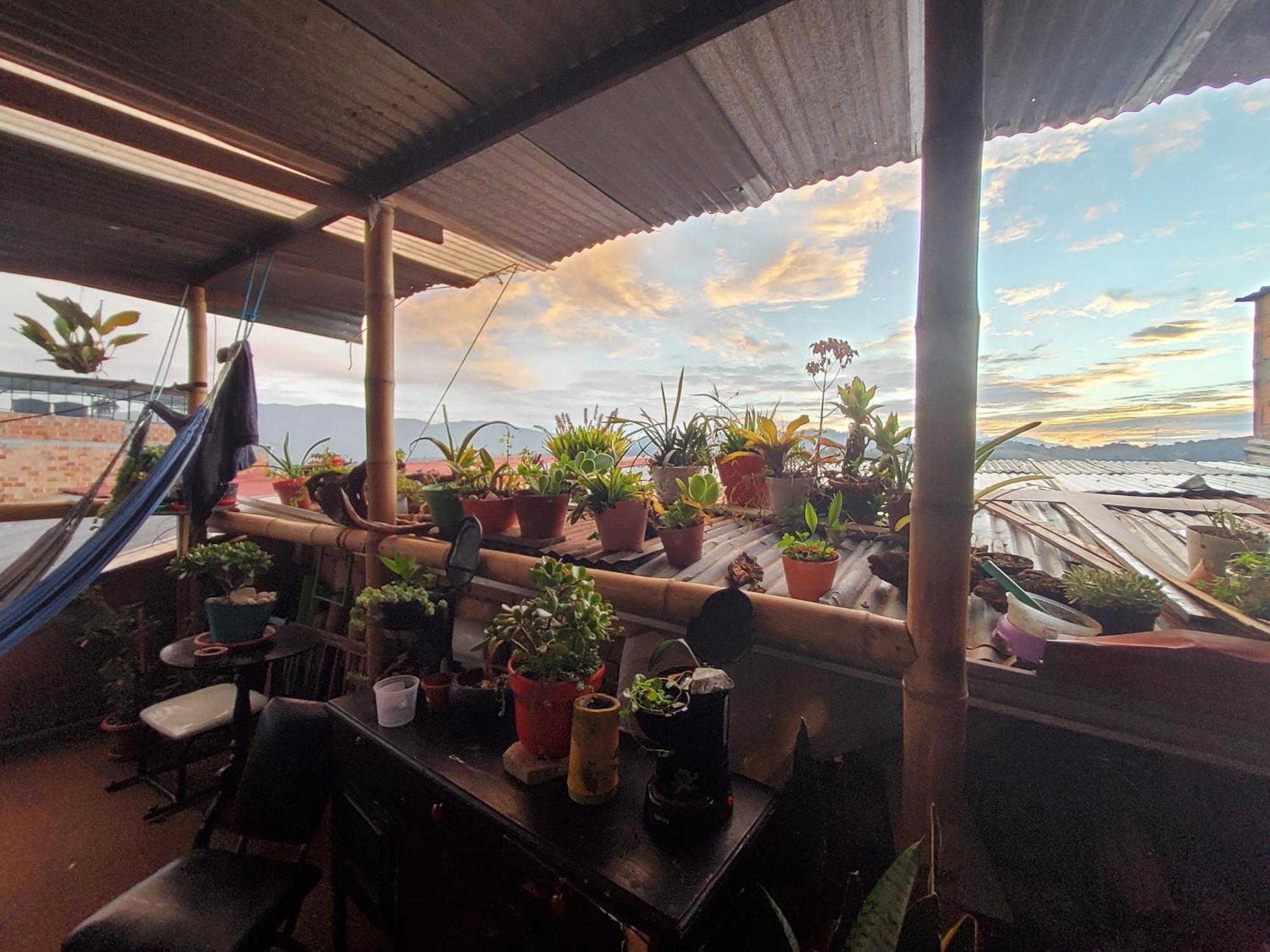 Hostal Musica Y Arte San Agustín 외부 사진