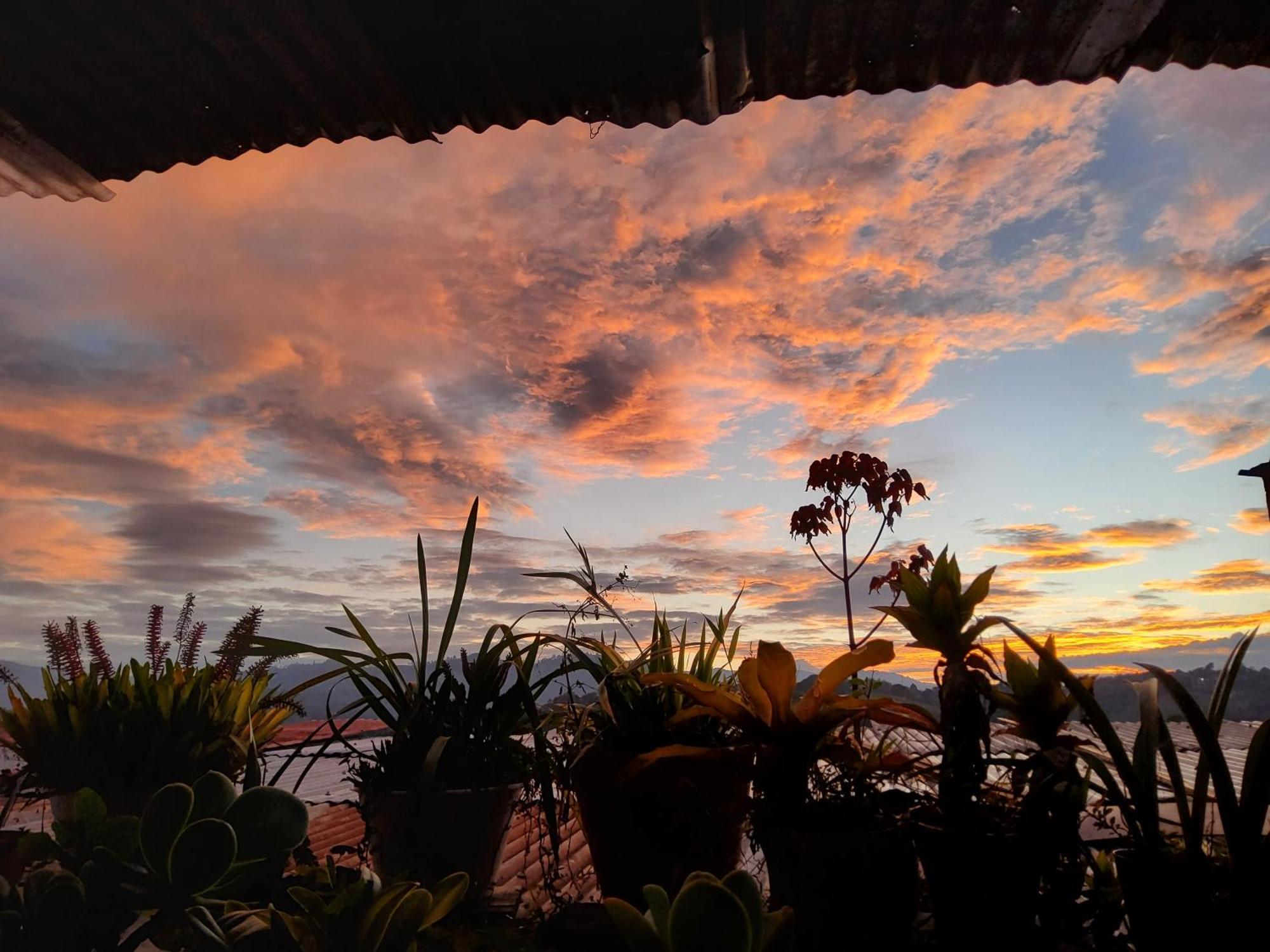 Hostal Musica Y Arte San Agustín 외부 사진