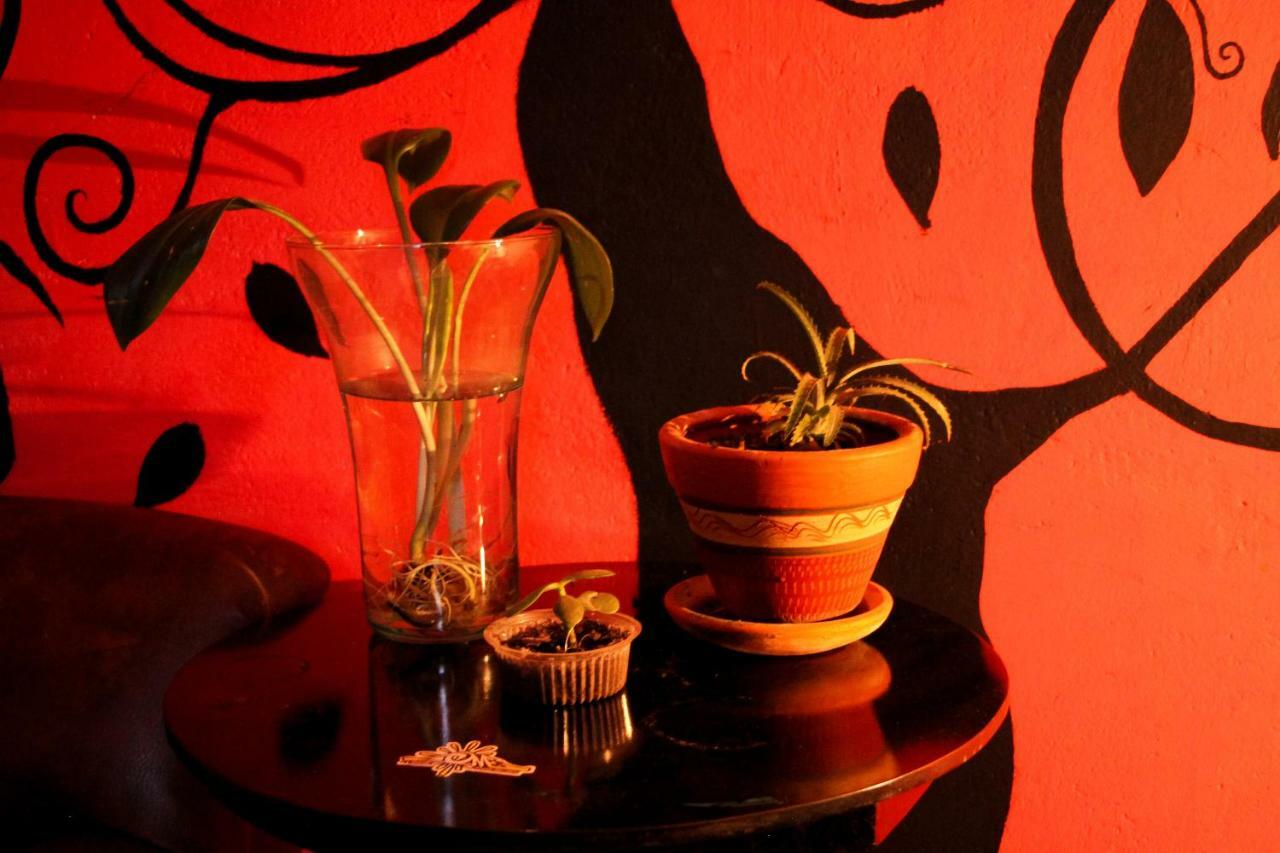 Hostal Musica Y Arte San Agustín 외부 사진